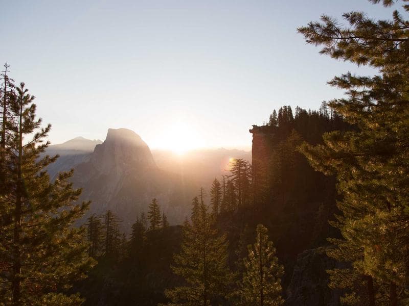 The Science Behind Dream Symbols